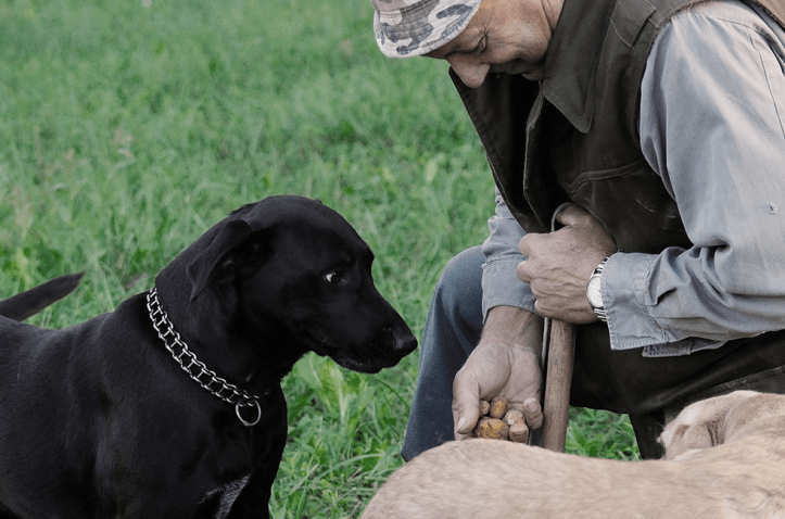 Screen Shot 2016-11-08 at 8.48.59 AM.png