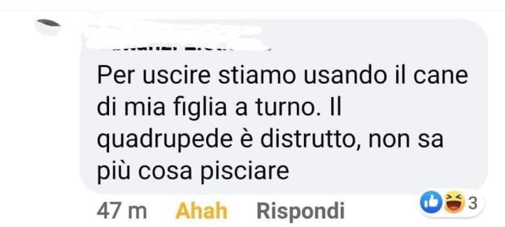 1a2476f4-b2b7-4086-86b6-d004f311a079